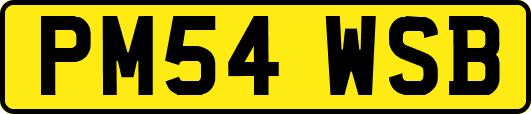 PM54WSB