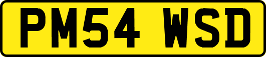 PM54WSD