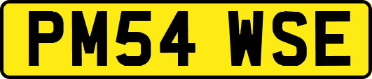 PM54WSE
