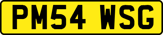 PM54WSG