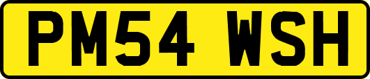 PM54WSH