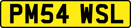 PM54WSL