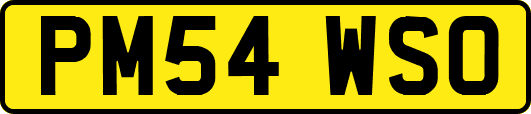 PM54WSO