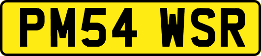 PM54WSR