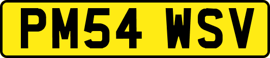 PM54WSV