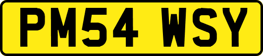 PM54WSY
