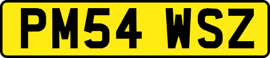 PM54WSZ