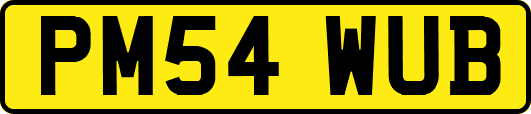 PM54WUB