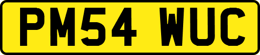 PM54WUC