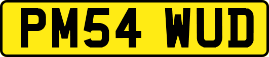 PM54WUD