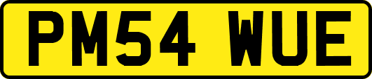 PM54WUE