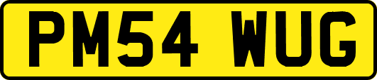 PM54WUG