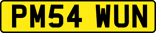 PM54WUN