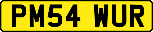 PM54WUR