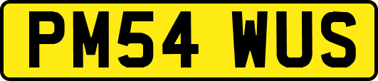 PM54WUS
