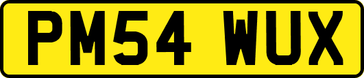 PM54WUX