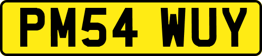 PM54WUY