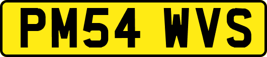 PM54WVS