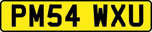 PM54WXU