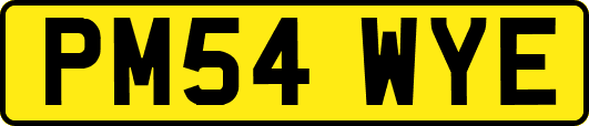 PM54WYE