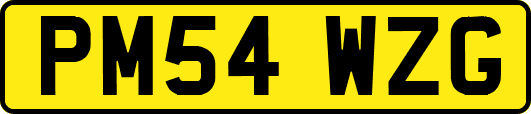 PM54WZG