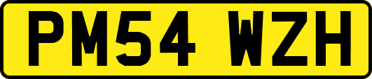 PM54WZH