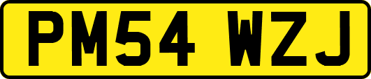 PM54WZJ