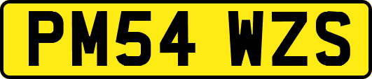 PM54WZS