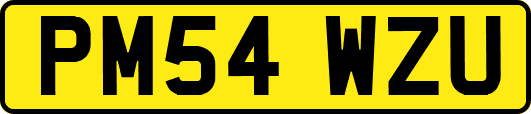 PM54WZU