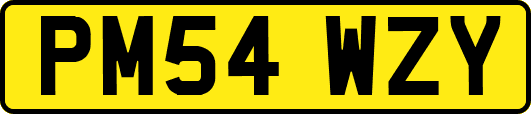 PM54WZY