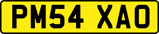 PM54XAO