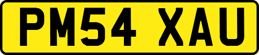 PM54XAU