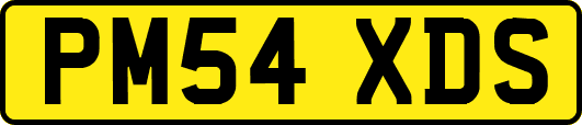 PM54XDS