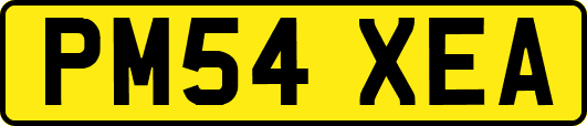 PM54XEA