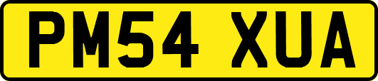 PM54XUA