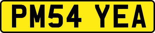 PM54YEA