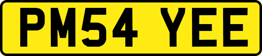 PM54YEE