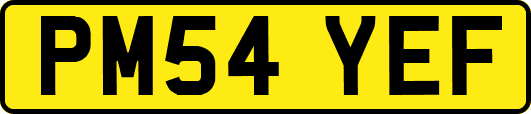 PM54YEF