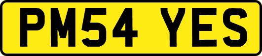 PM54YES