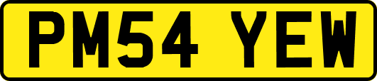 PM54YEW