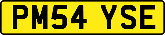 PM54YSE
