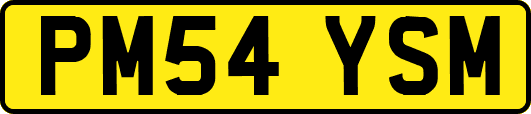 PM54YSM