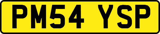 PM54YSP