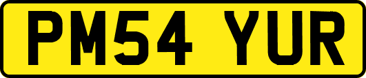 PM54YUR
