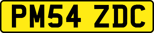 PM54ZDC
