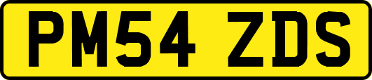 PM54ZDS
