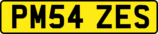 PM54ZES