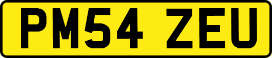 PM54ZEU