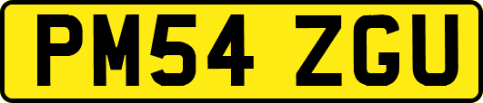 PM54ZGU
