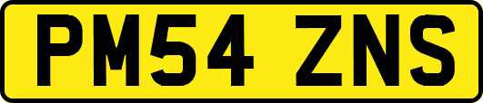 PM54ZNS